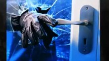 Stop The Intruder!
