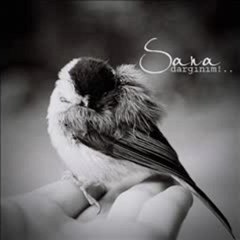 Serdar  TUNCER         "Beni Anlamayışına "