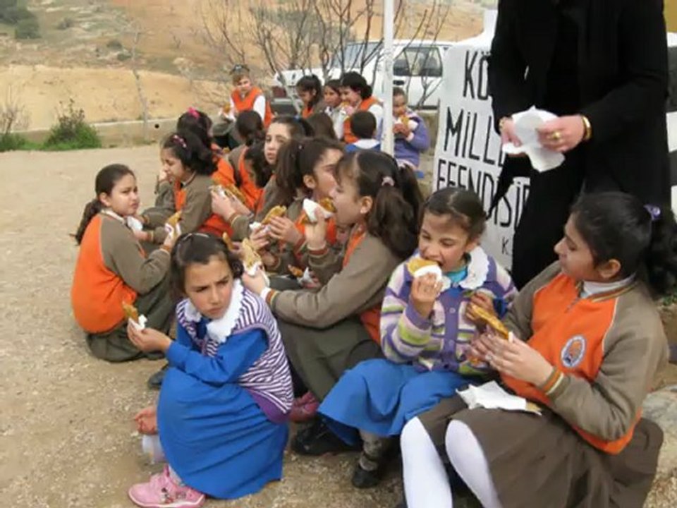Tuluktaş 2