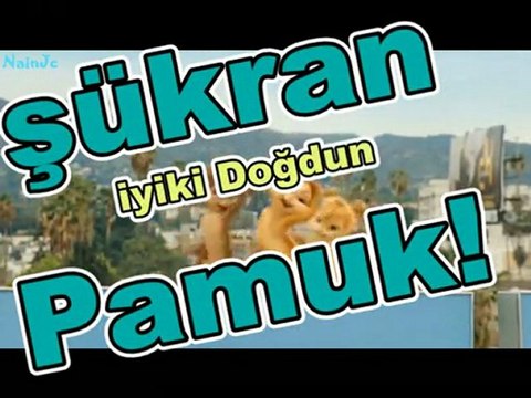 Çanlıdostlar Şükran Pamuk Doğum günü Happy Birthday