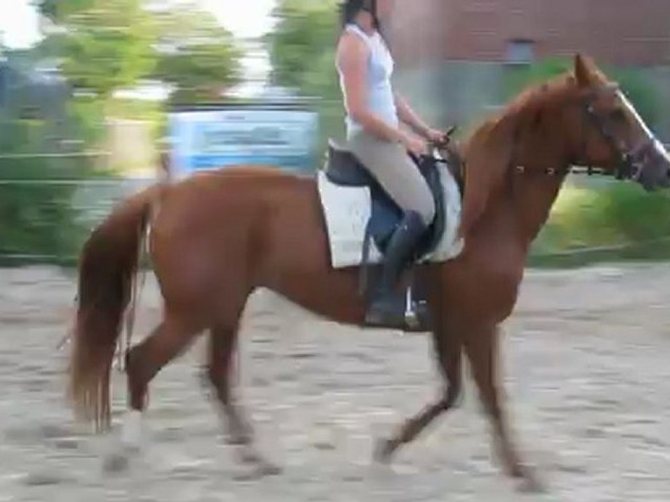 Sirius