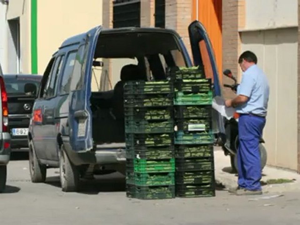 01 Seguridad Vial vehiculos de motor