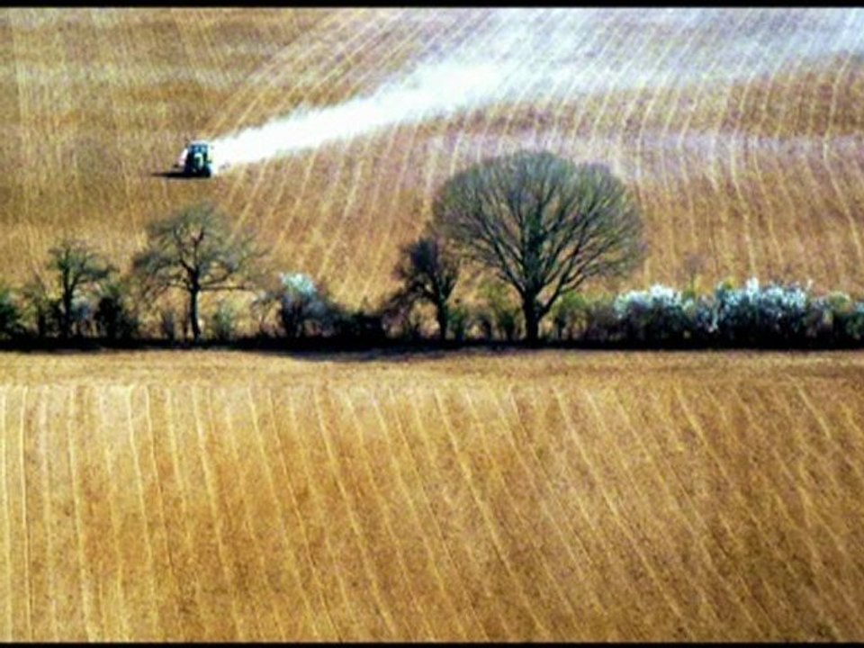 VARIATIONS CHAMPÊTRES (LOUL)