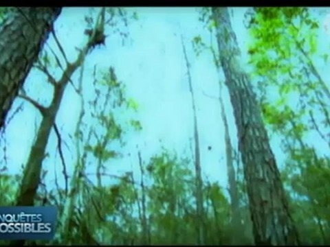 Les enquêtes impossibles - Meurtres en sommeil