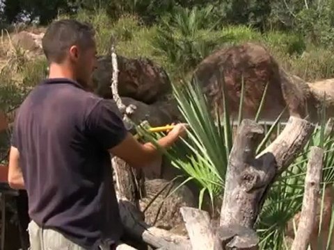 Helados de fruta y baños de arena para sobrellevar en calor en el Bioparc de Valencia