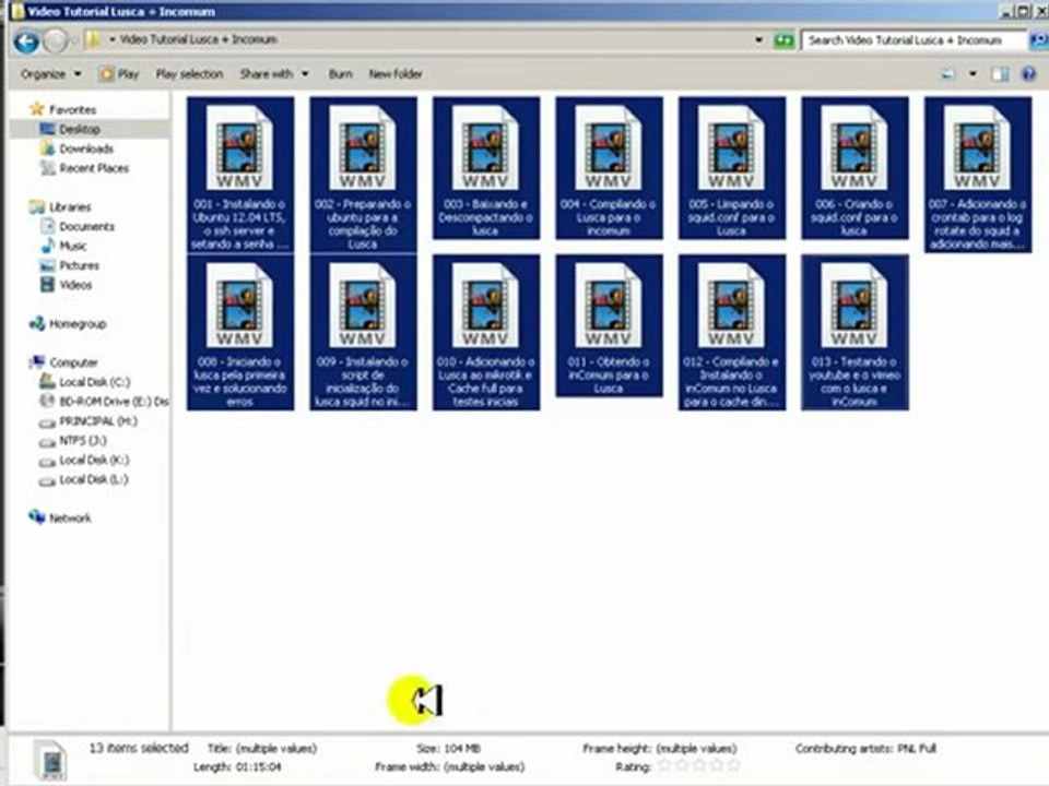 Video Tutorial Lusca com inComum
