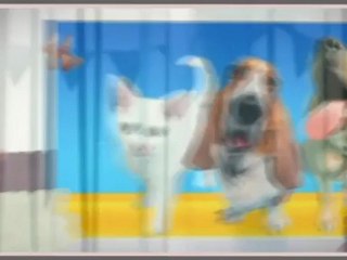 Pet Insurance, it's really needed