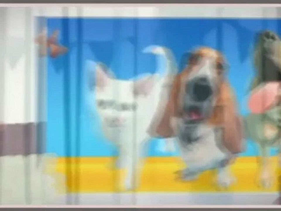 Pet Insurance, it's really needed