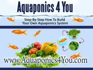 Home Made Aquaponics-Equipment that You Need