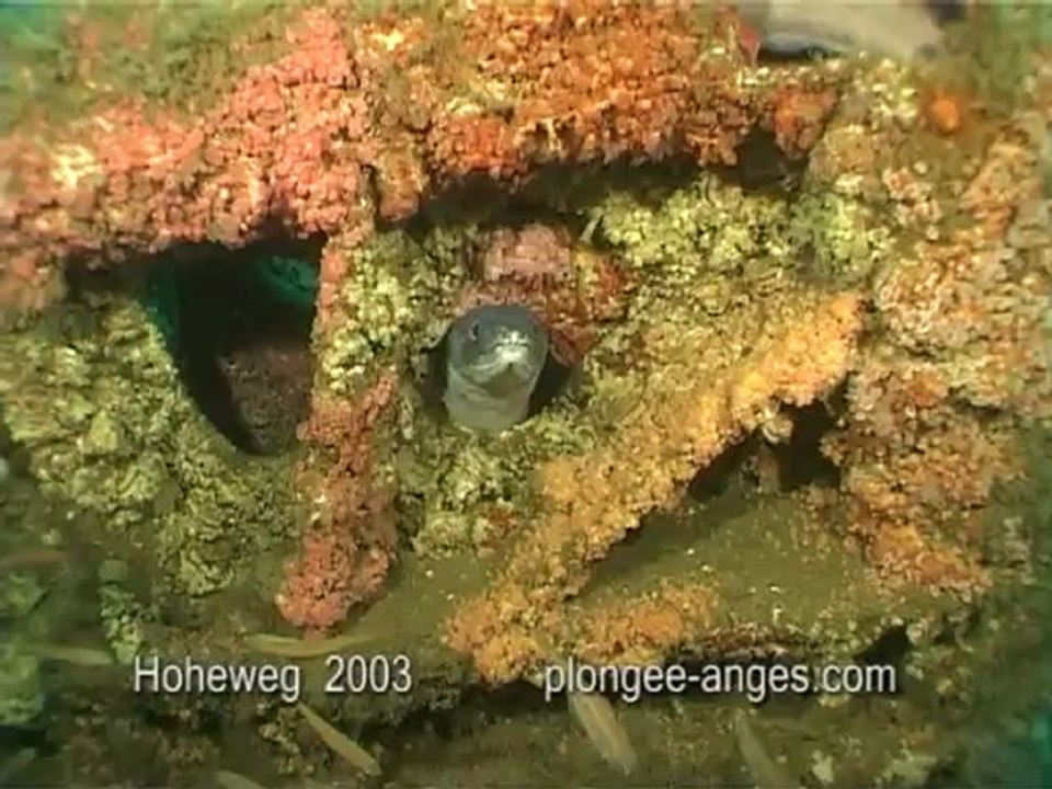 HOHEWEG