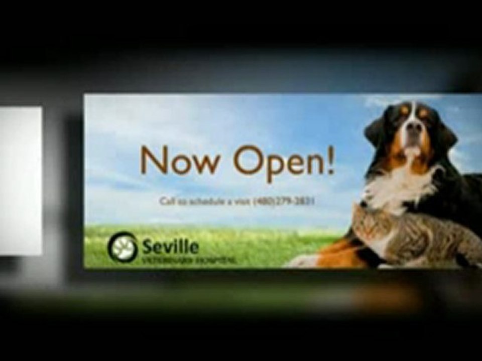 (480) 279-2831 "Pet Clinic 85298" Gilbert, AZ "Veterinary Clinic Arizona" veterinarian "pets"