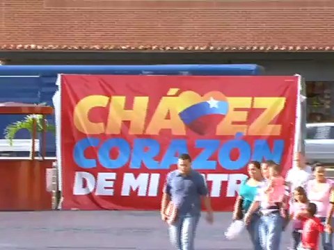 Propaganda electoral en organismos públicos