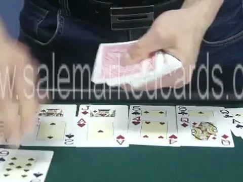 LeatherBelt-Scanning-kamere