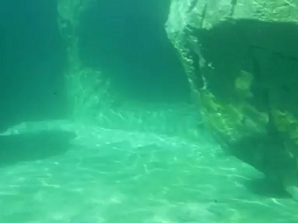 Le molusque de pauline ^^