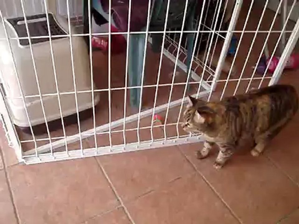 Marçu et Pépite cassent la croûte