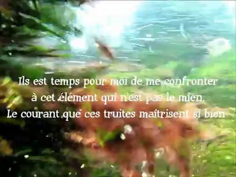 Truites d'été n°3