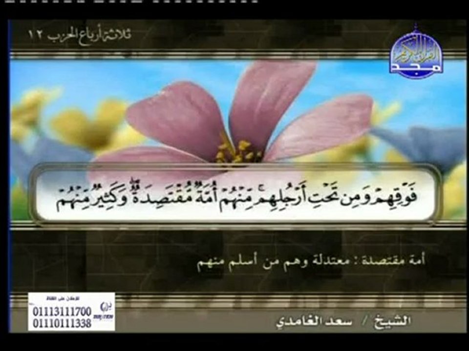 سورة المائدة- سعد الغامدي Surah Al-Maeda Al-Ghamdy