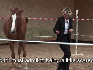 Le "CHE" Cheval, Homme, Entreprise (English version vost)