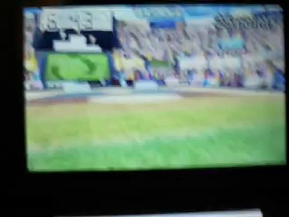 Présentation de la 3DS XL et de mes chiots de la version Caniche