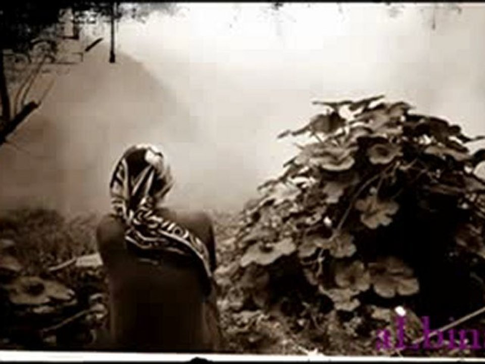 SeLçuk  BALCI           "DereLerde taş oLsam "