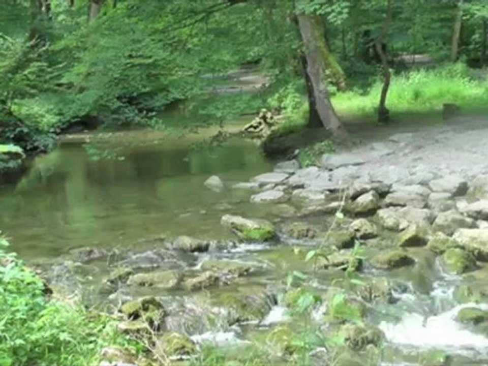 Die kleine bachmeditation