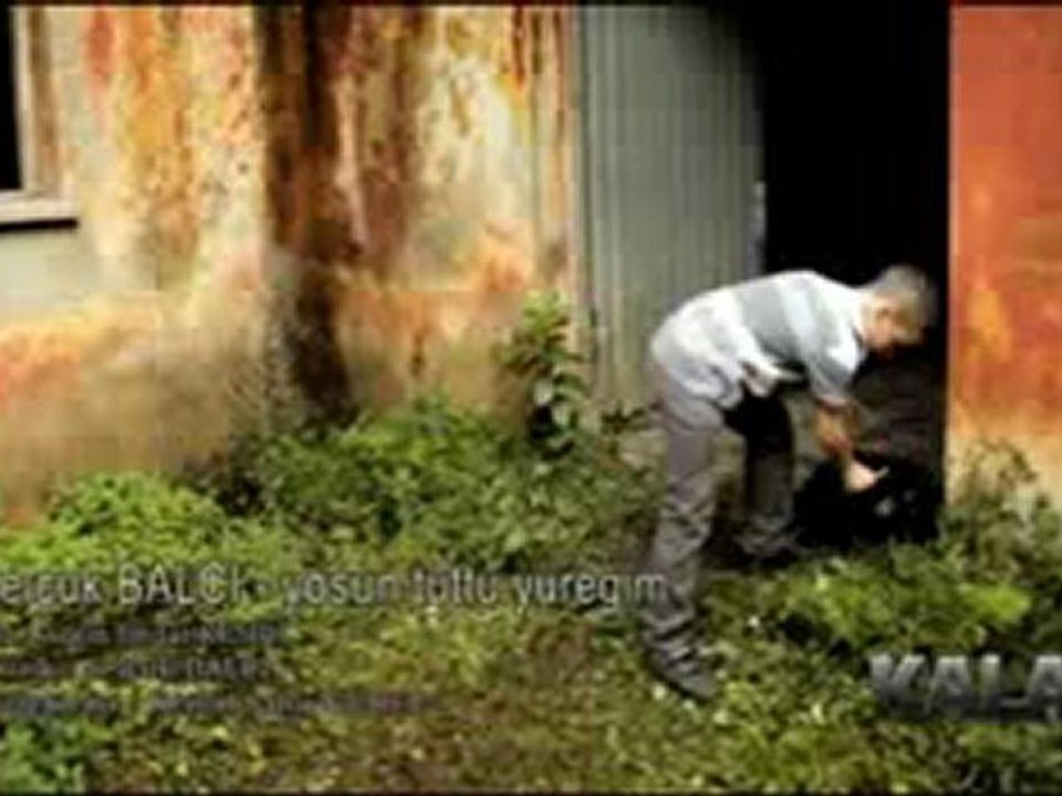 SeLçuk  BALCI         "Yosun Tuttu Yüreğim "