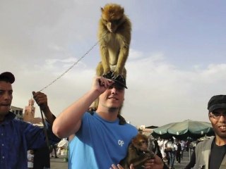 Vacances à Marrakech