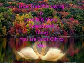 Unforgettable by Saxophonist The Rock