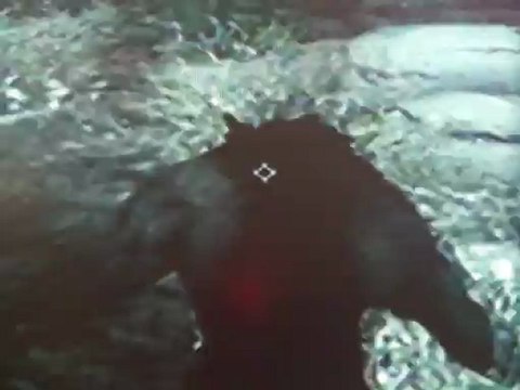 The Elder Scrolls V: Skyrim turning into a werewolf