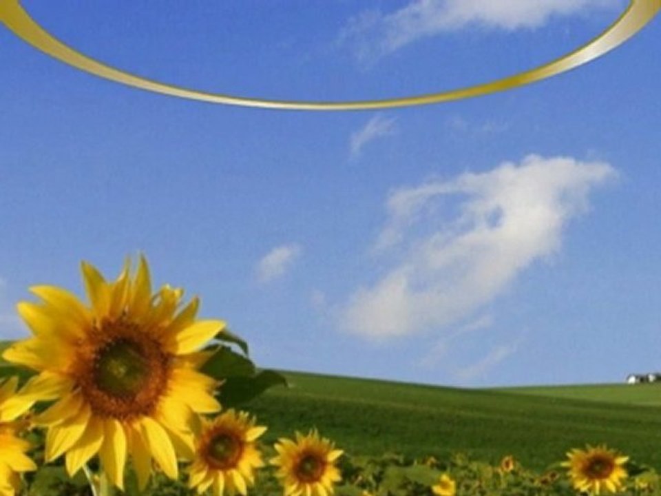 Probiotics, Why do I keep getting sick_