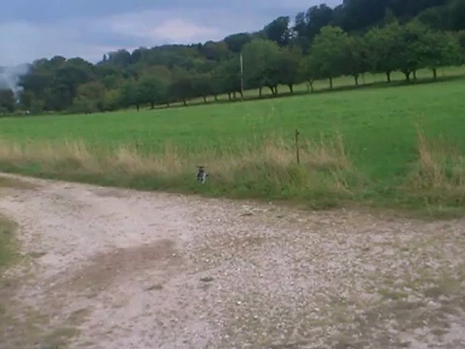 2012_08_04_Blade 130X part 3