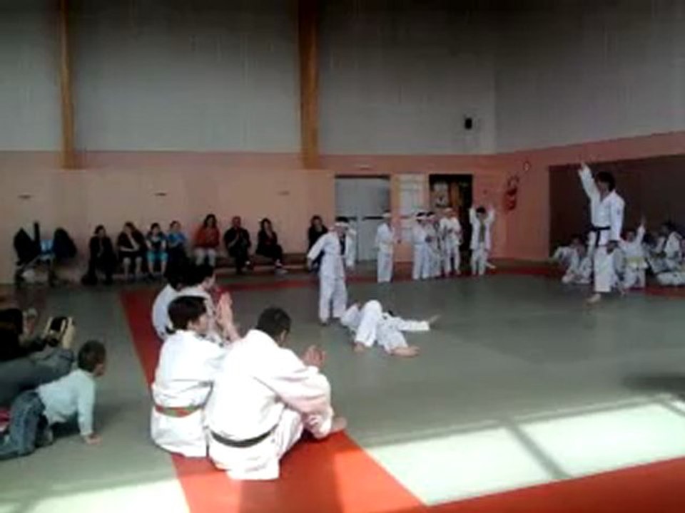 judo (ceinture jaune) 2012 (3)