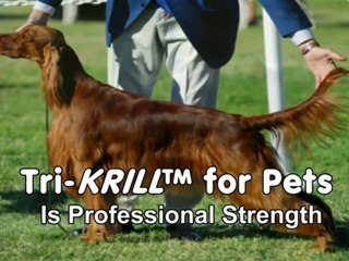 Tri-Krill™ For Pets Available at petenzymes_com Harvested From the Pristine Antarctica