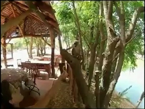 mariage gaelle et seb