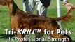 Tri-Krill™ For Pets From NWC Naturals Pet Products LLC Harvested From the Pristine Antarctica