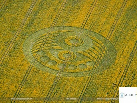 crops circles AIDP