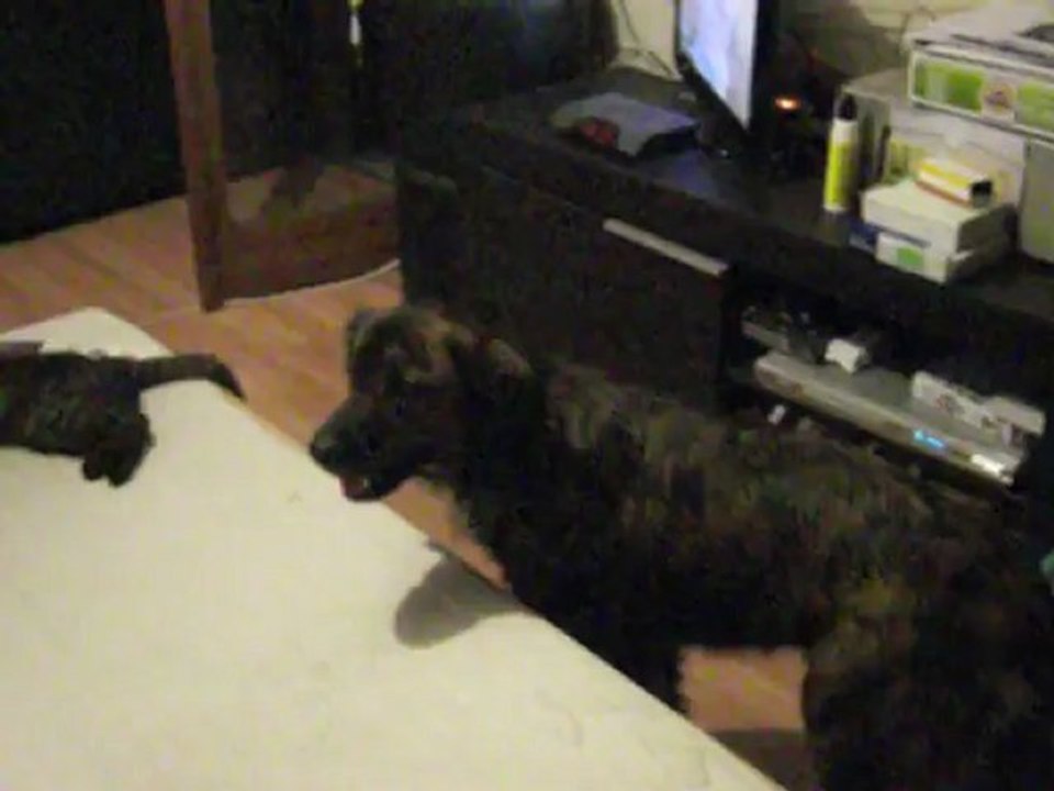 Bémol 3 mois avec Fiesta, Isis et compagnie