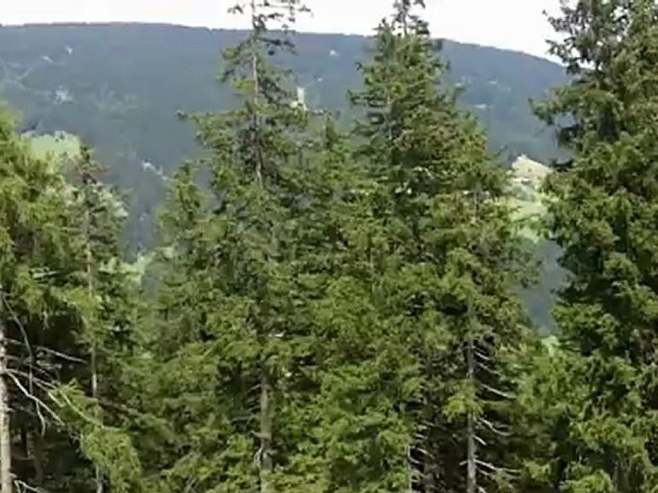 Anfragen - Motivation zum Erfolg von Ernst Crameri