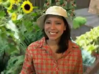 Bowl 5 Qt. Heated Bowl Stainless Review