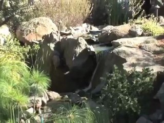 Temporary Kitchens Rentals OHIO 1800.205.6106