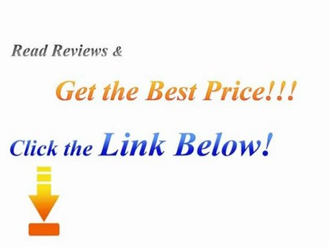 Cheap Seiko Premier Kinetic Perpetual Calendar (Men's Watch)