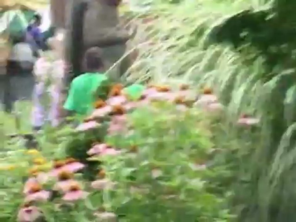Throwaway Kids part three