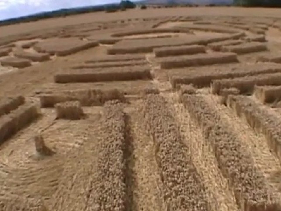 Crop Circle, magnifique vu du sol !