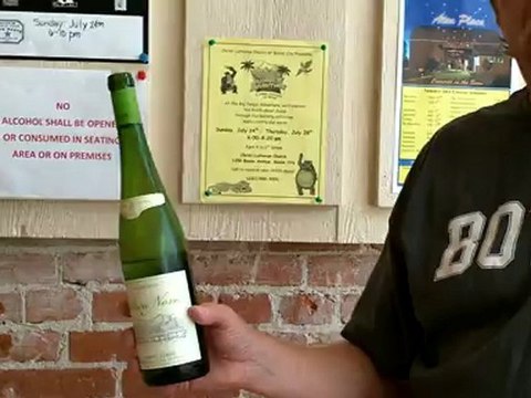 Vinho Verde - Trying some white wine. Downtown Boyne City. Michigan vacations.