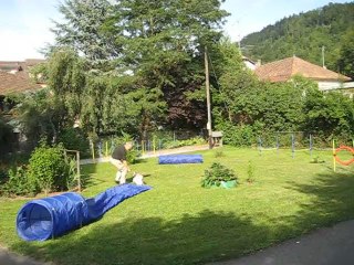 4.8.2012 : échauffement pour l'agility dans le jardin