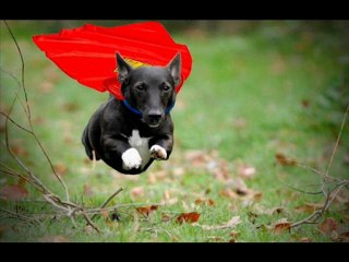 Sony BRAVIA EX 400 Series 32 inch Best Sale Black Friday