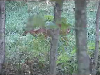 "OK   ŞOW " Soner  GENEL