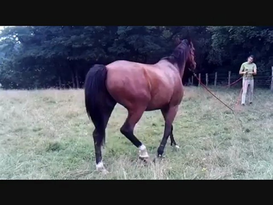 Séance du  05.08.12