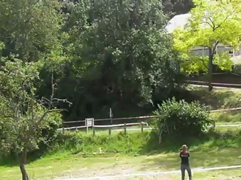 rallye sud morvan 2012