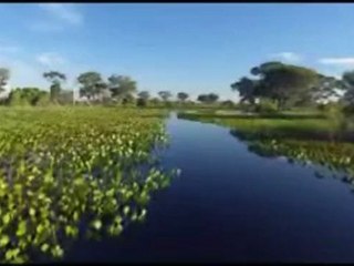 Du3a by Mohammad Al Barrak دعاء محمد البراك